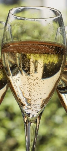 Blog le tour de vigne champagne the secret of longevity